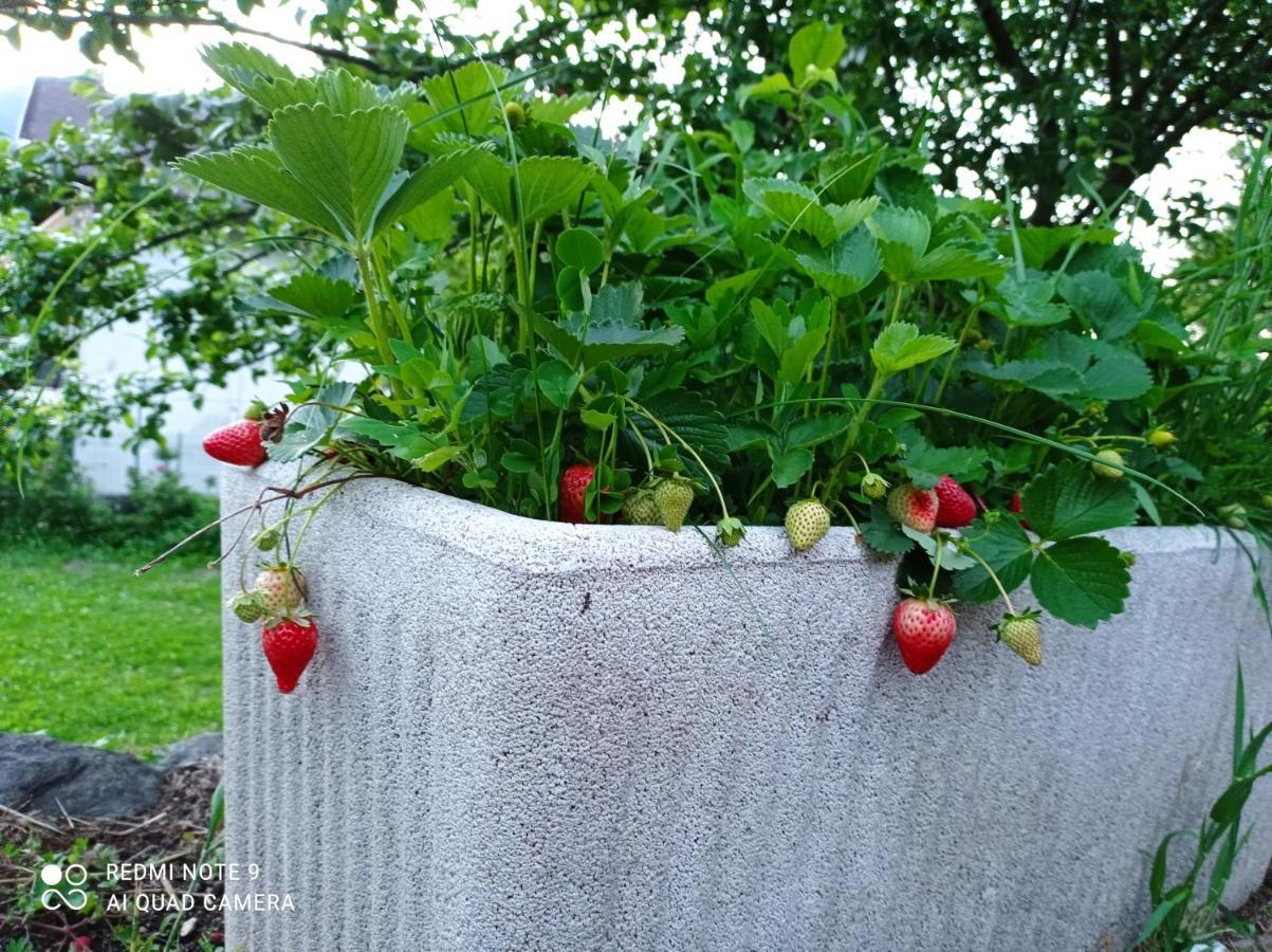 Apartamento Il Giardino Segreto Beura Exterior foto