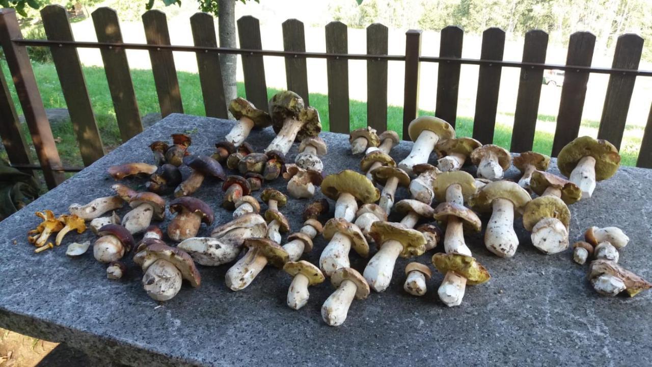 Apartamento Il Giardino Segreto Beura Exterior foto